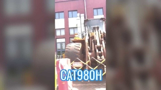 De volgende categorieën: